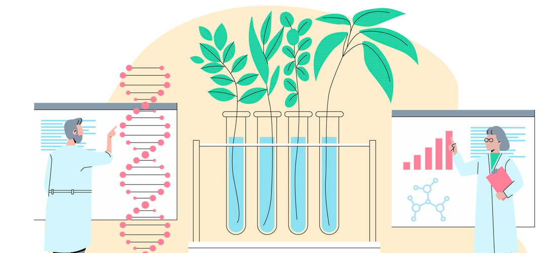 The Promise of Regenerative Medicine: Harnessing the Body's Healing Potential