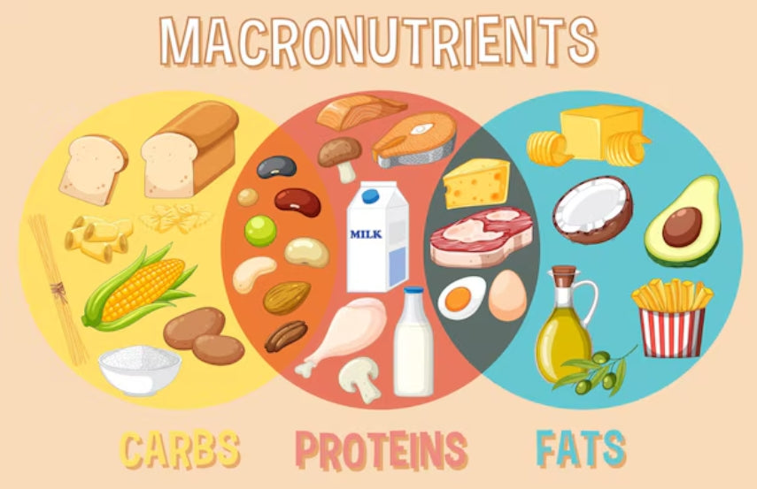 The Role of Phosphorus in Bone Health