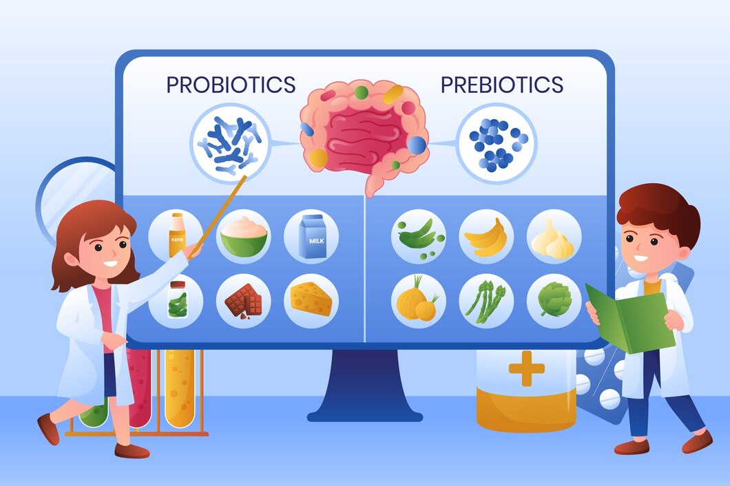 Understanding the Role of Enzymes in Digestion