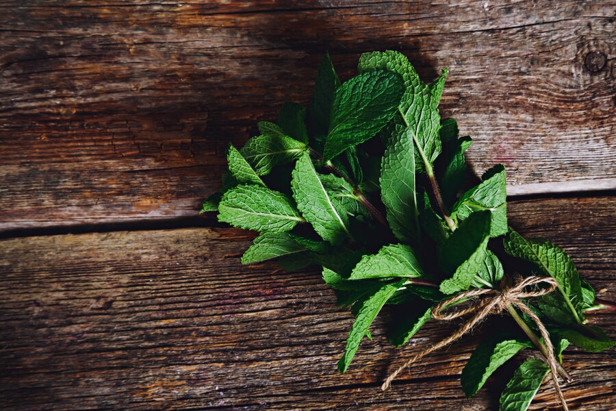 Exploring the Benefits of Nettle Leaf for Joint Health