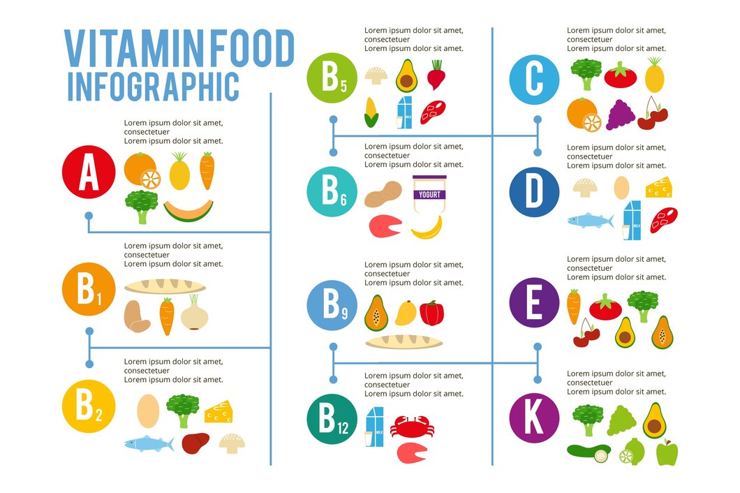 The Role of Vitamin B13 in Energy Production