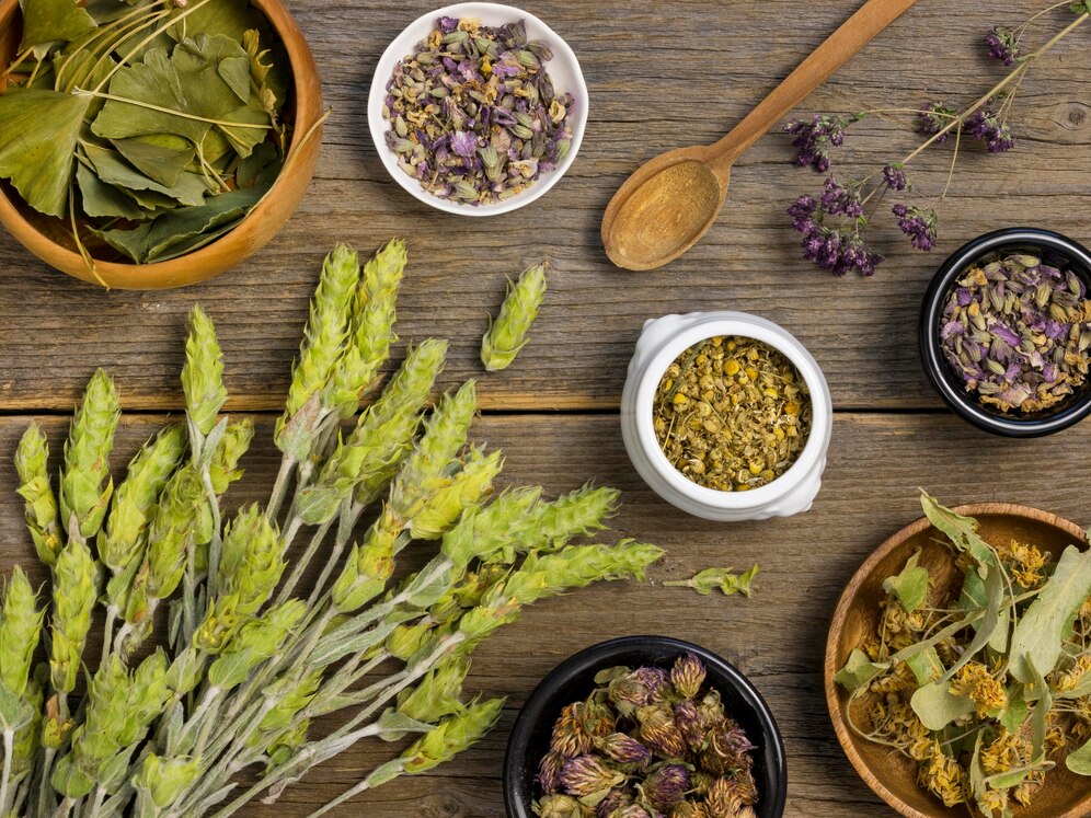 Exploring Adaptogens: Natural Remedies for Stress