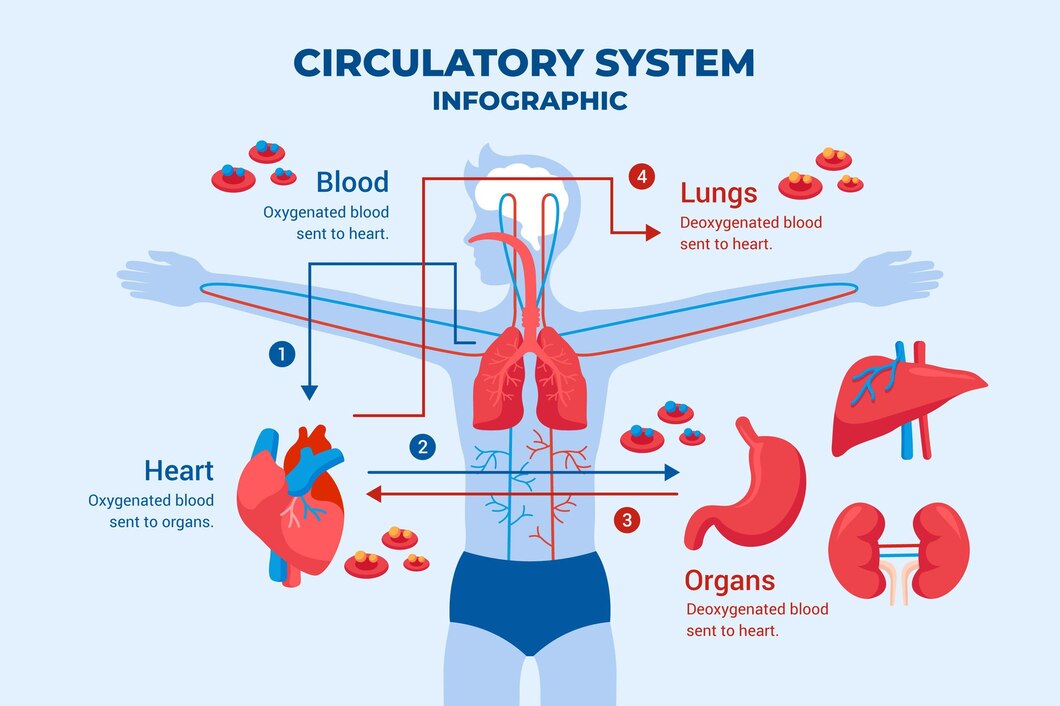 Hormonal Imbalances: Causes, Symptoms, and Treatments