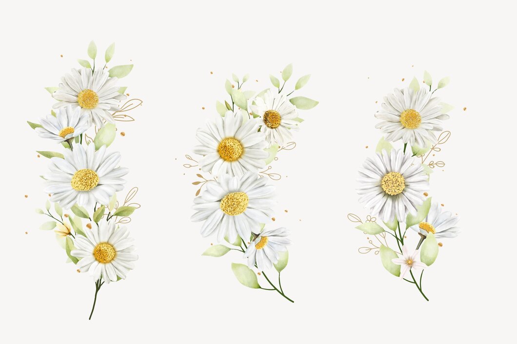 The Benefits of Chamomile for Muscle Relaxation