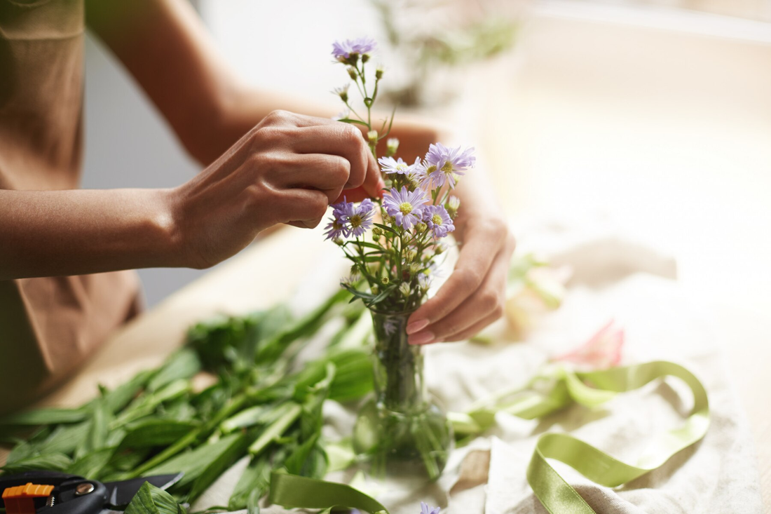 Harnessing Nature's Healing Power: Exploring Herbal Remedies for Everyday Ailments